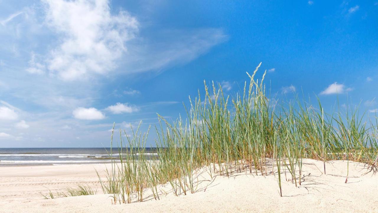 Direct Oceanfront Private Villa Overlooking Pool/Beach - South Forest Beach - Right Next To Coligny Plaza Hilton Head Island Exteriér fotografie